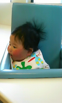 200901261045000.jpg
