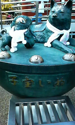 200912071340000.jpg