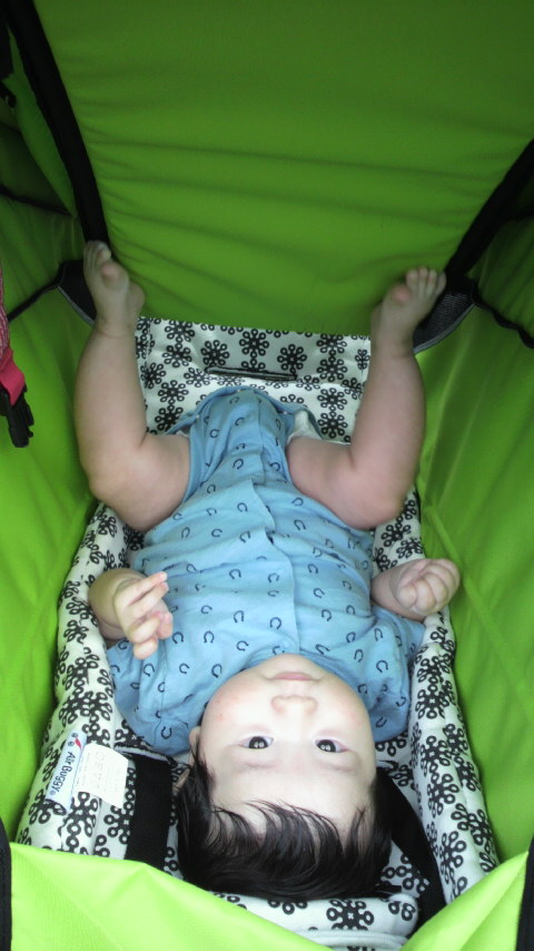 2010072616510001.jpg