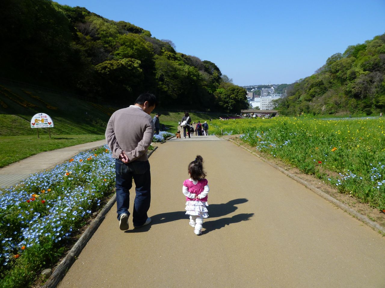 P1000063.JPG
