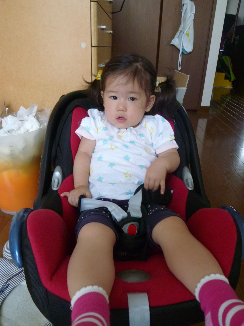 P1000281.JPG