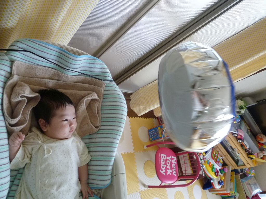 P1000384.JPG