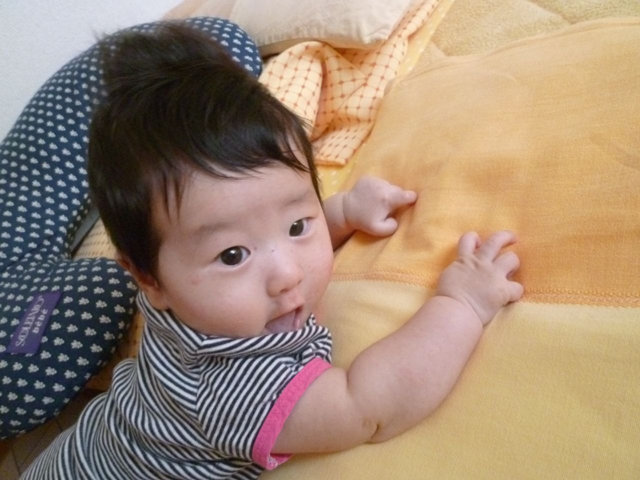 P1000651.JPG
