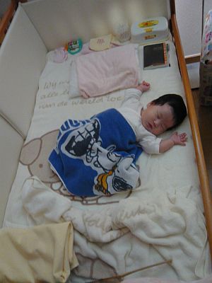 P1000847.jpg