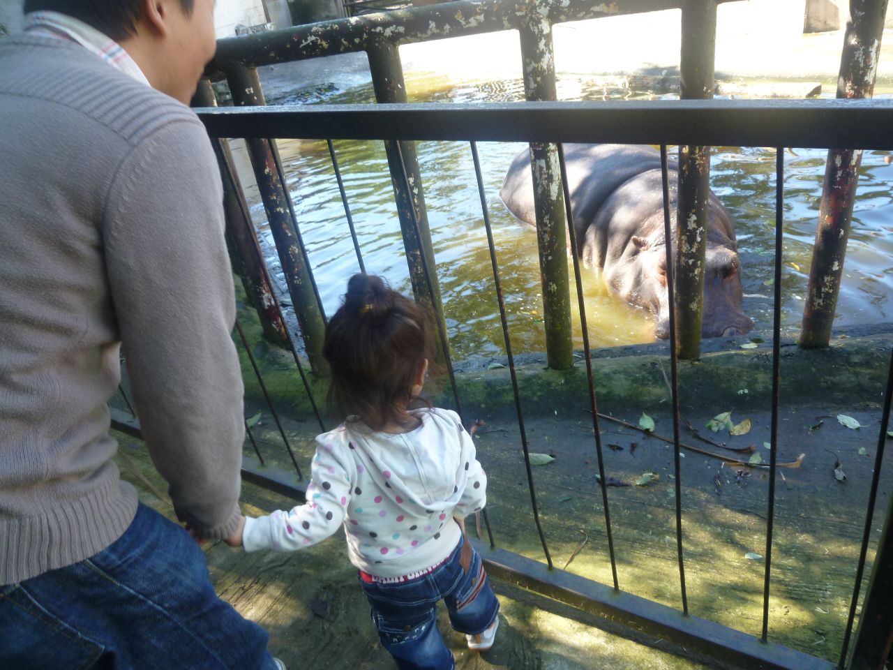 P1000999.JPG