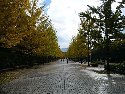 P1010600.JPG