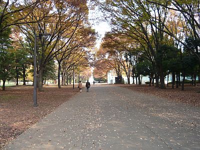 P1010659.JPG
