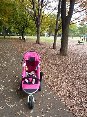 P1010660.JPG