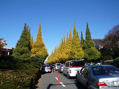 P1010720.JPG