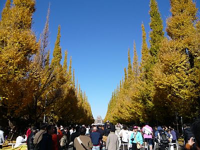 P1010730.JPG