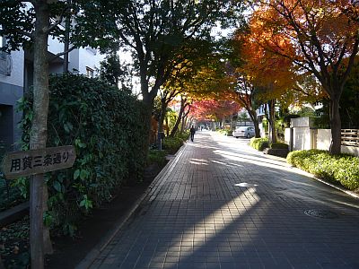 P1010755.JPG