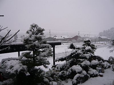 P1020490.JPG