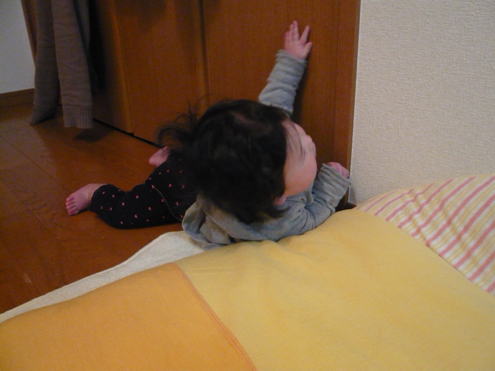 P1030573.jpg