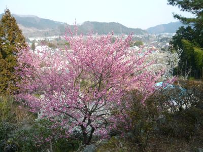 oumebaigou1.jpg