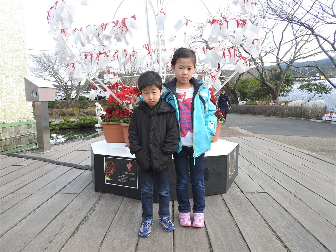 DSCN0729.JPG