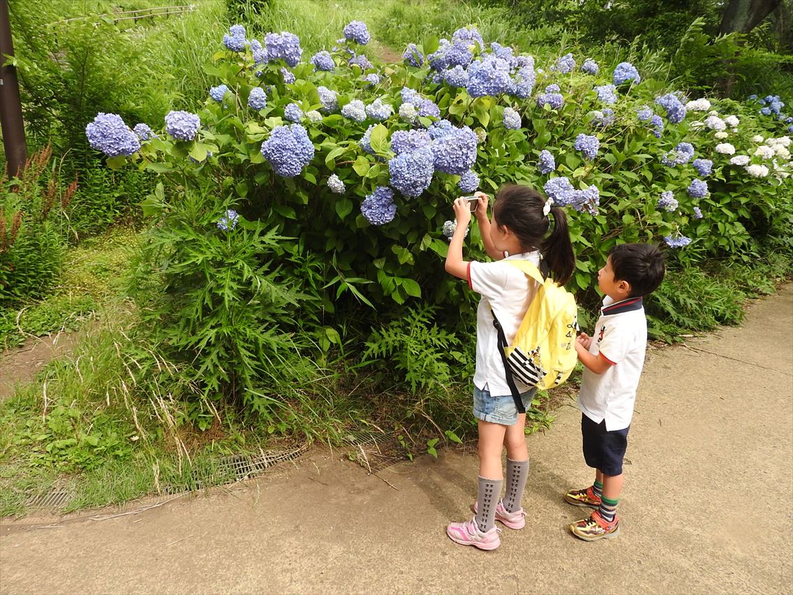 DSCN1834.JPG