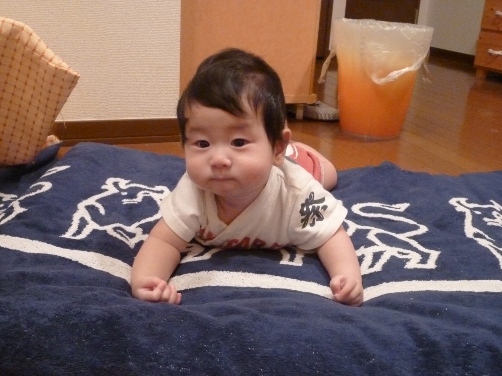 P1010030.JPG