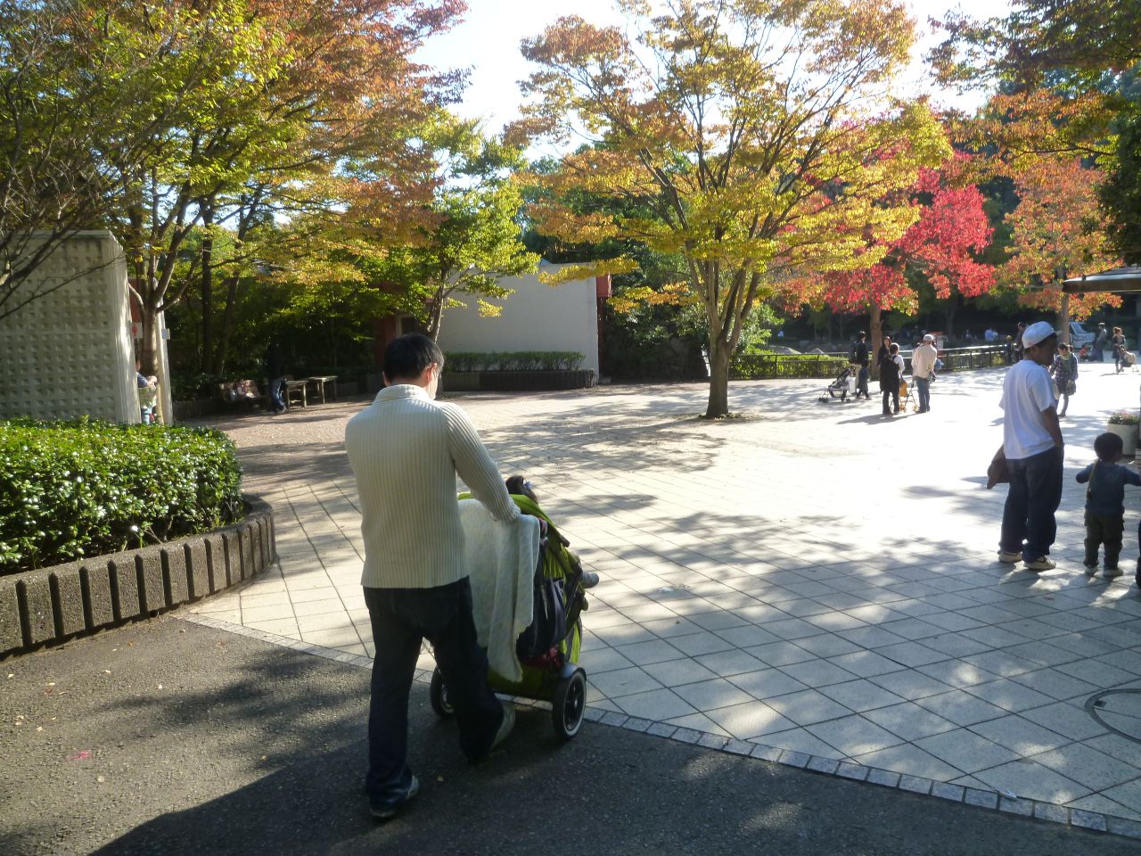 P1010211.jpg