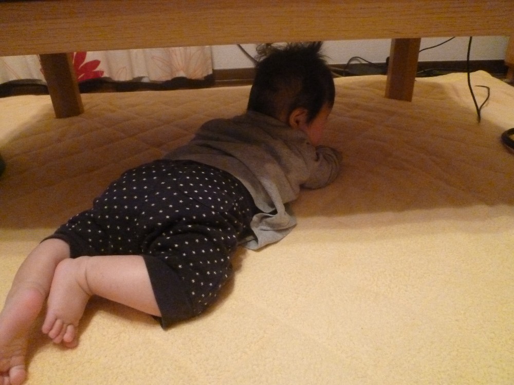 P1010339.JPG