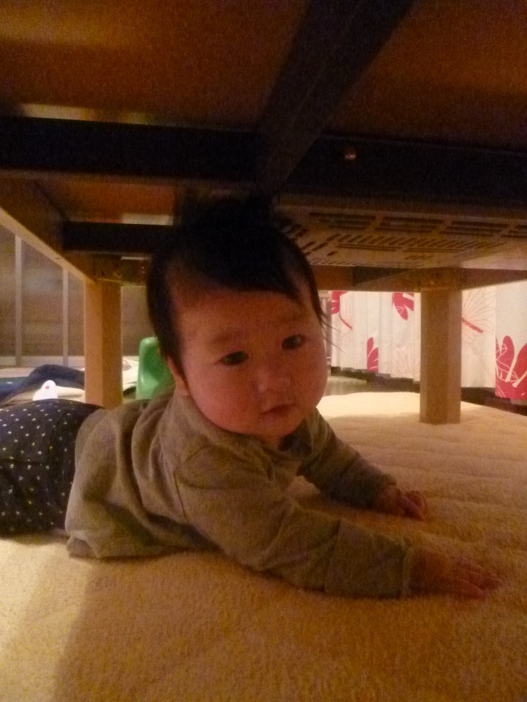 P1010342.JPG