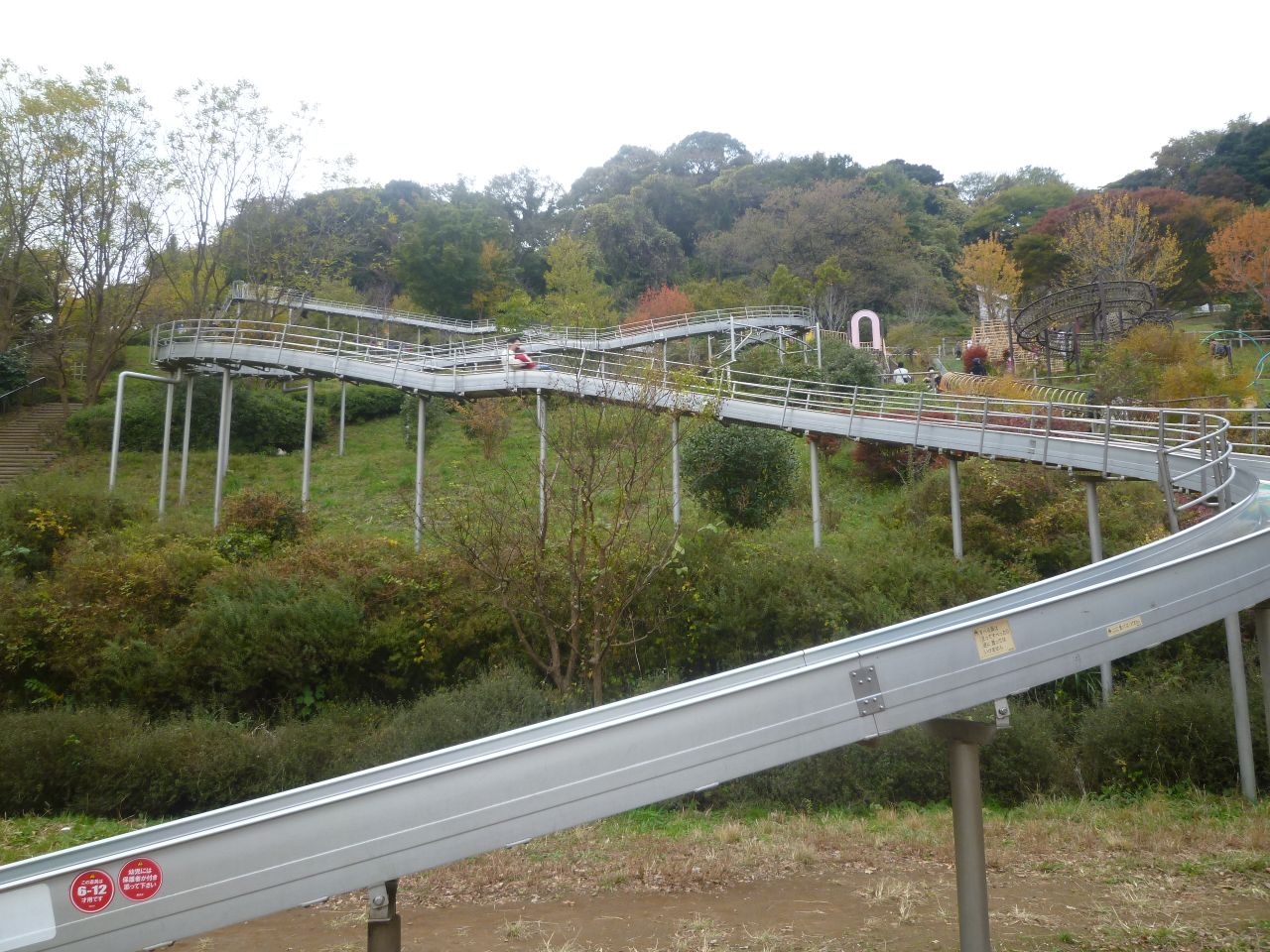 P1010390.JPG