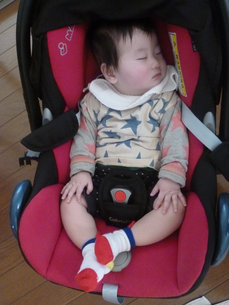 P1010433.JPG