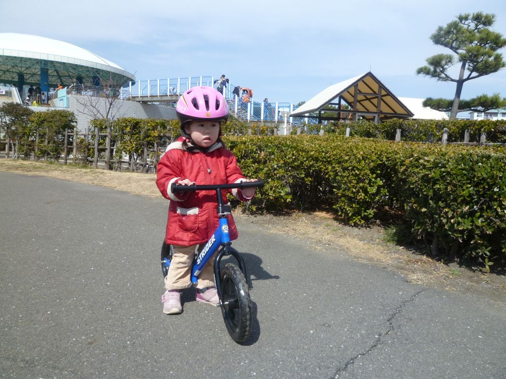 P1010627.JPG
