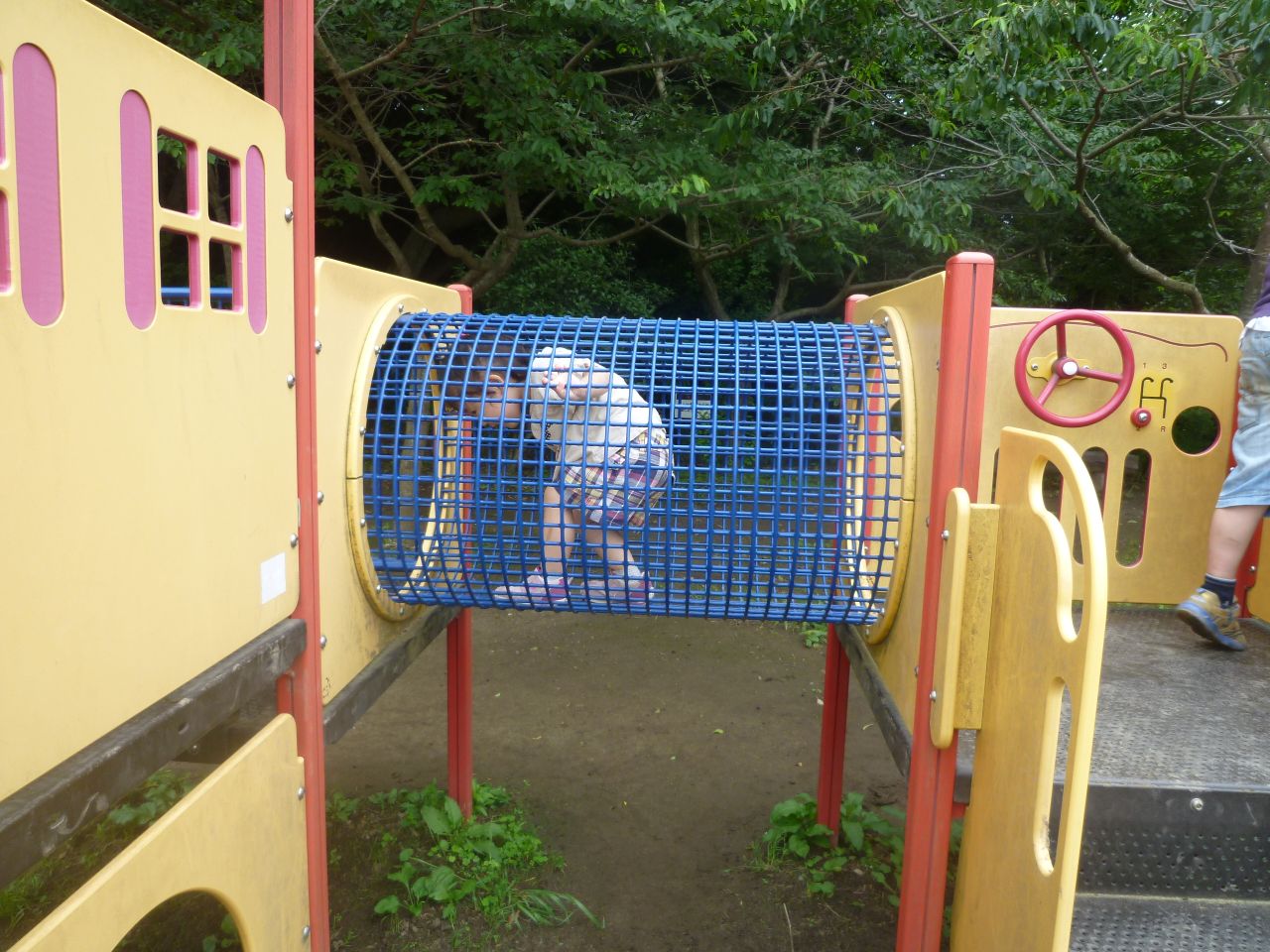 P1020482.JPG