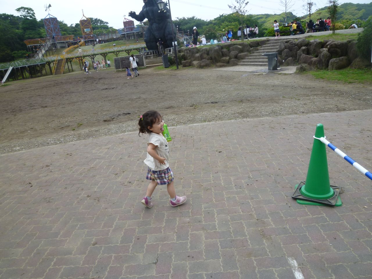 P1020497.JPG