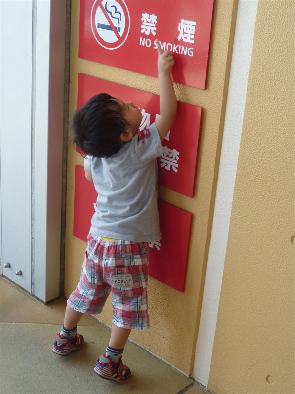 P1070069.JPG