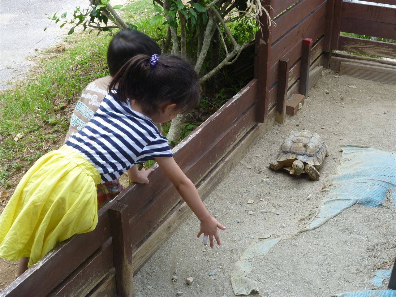 P1070619.JPG