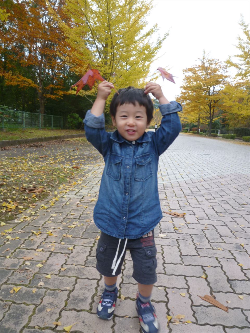 P1070860.JPG