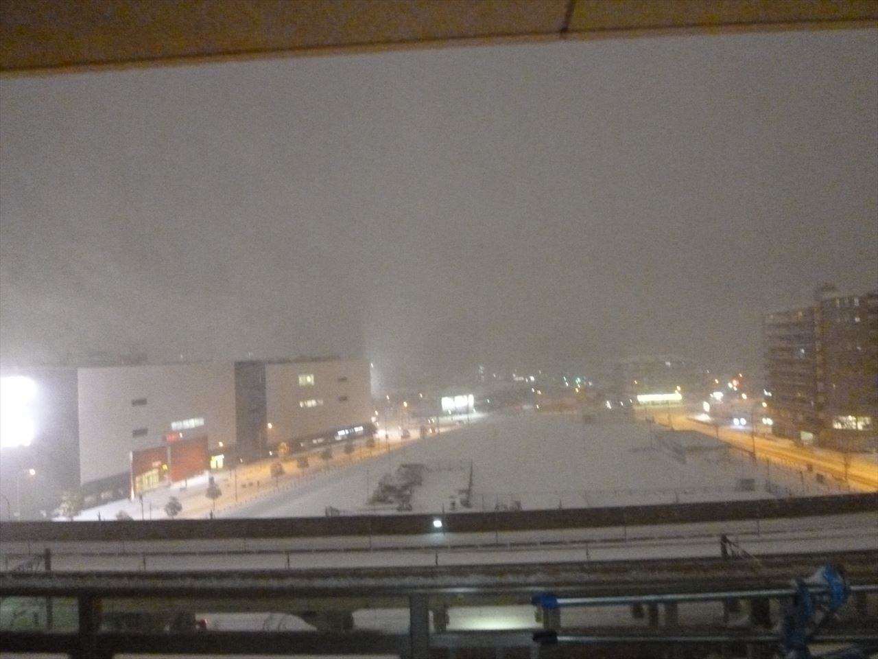 P1080164.JPG