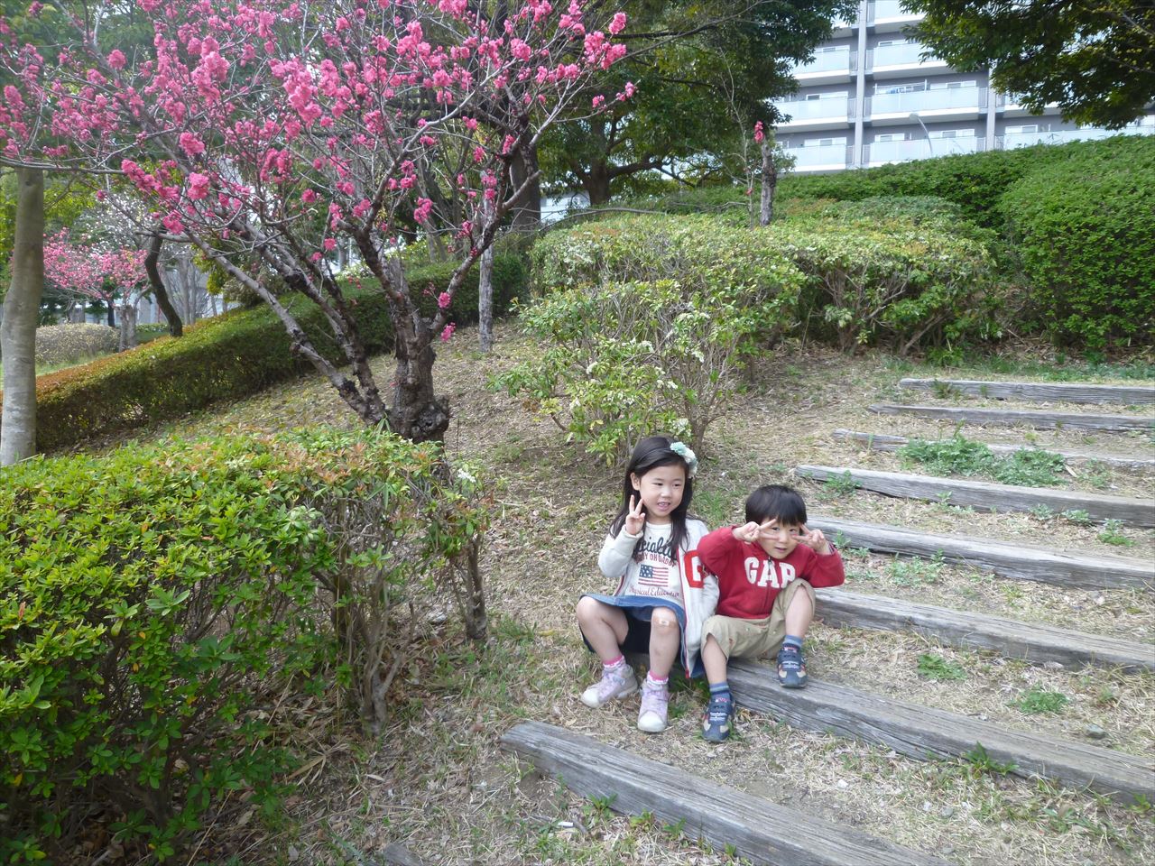 P1080372.JPG