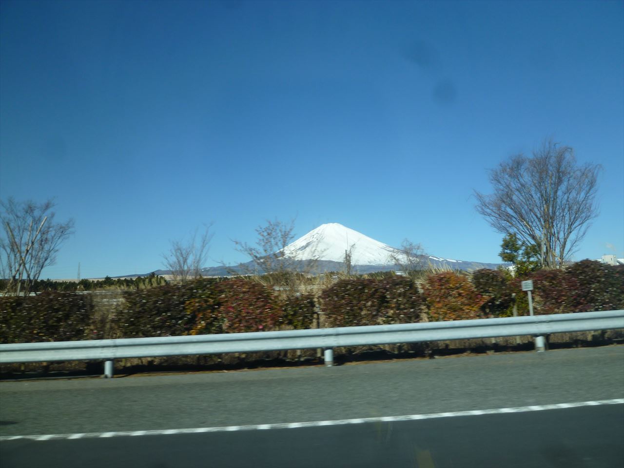 P1100046.JPG