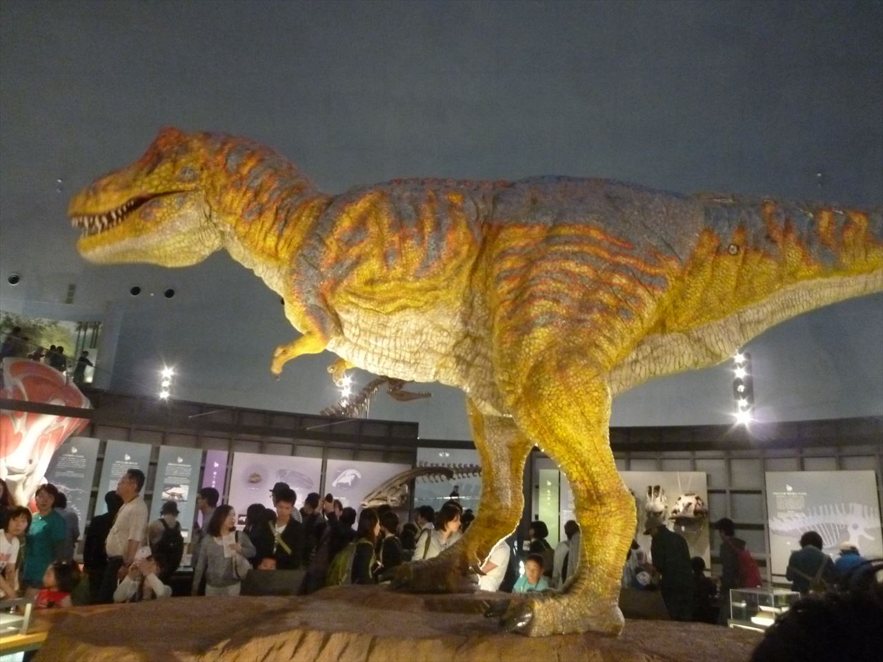 P1100537.JPG