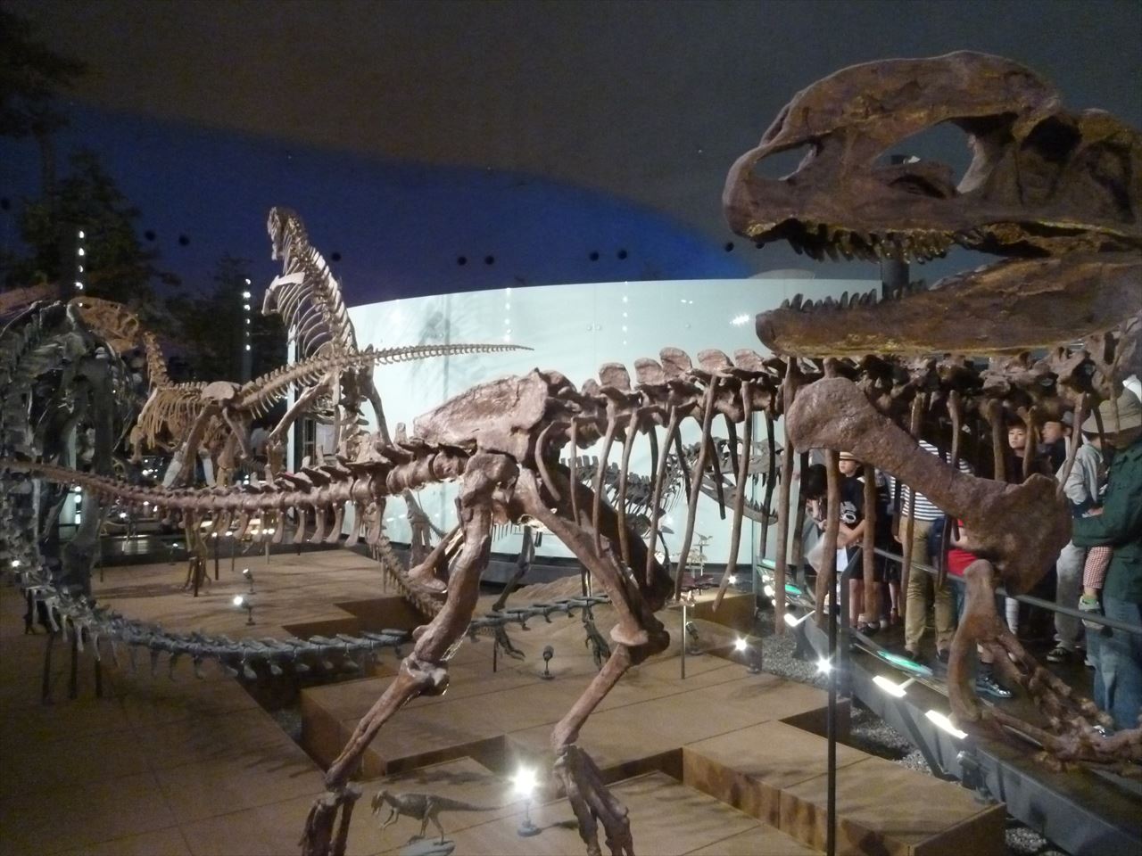 P1100541.JPG