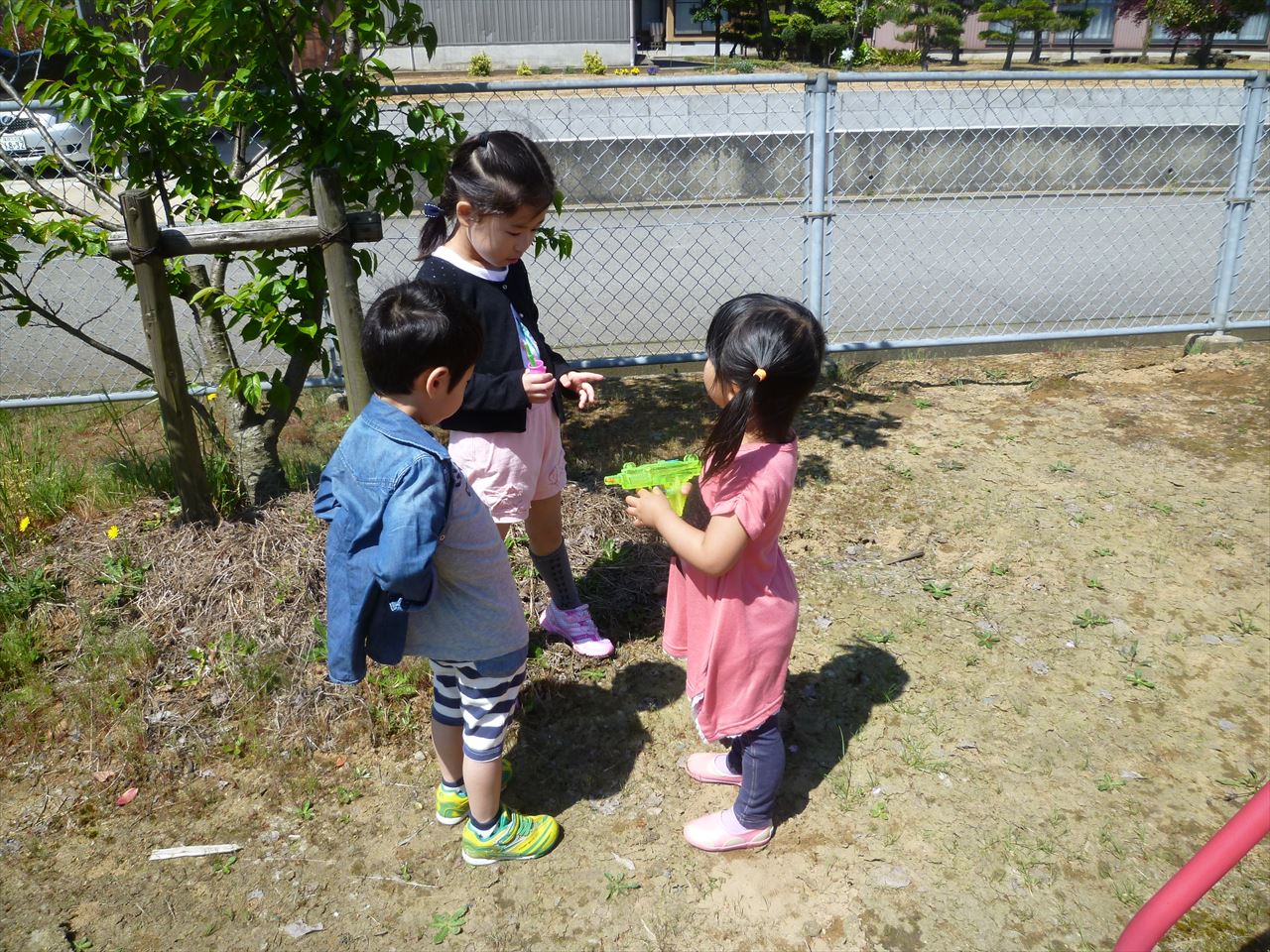 P1100558.JPG