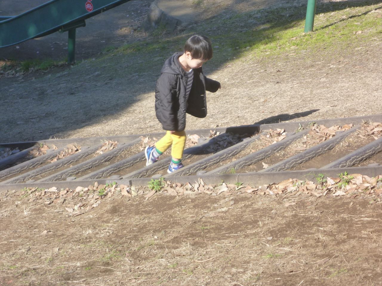 P1120274.JPG