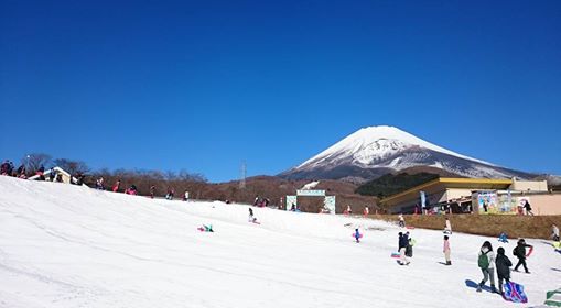 gurinpa.jpg