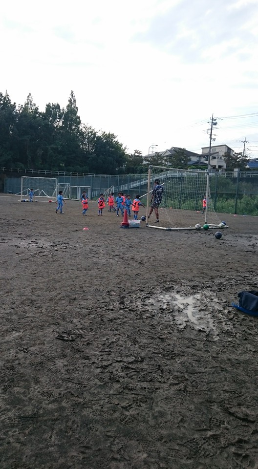 soccer6.jpg