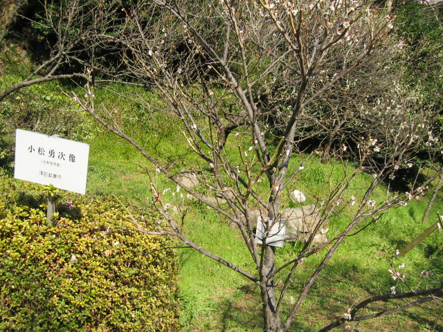 IMG_0672.JPG