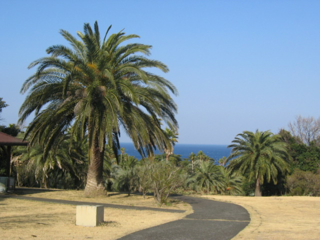 IMG_0785.JPG