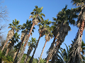 IMG_0787_thumb.png
