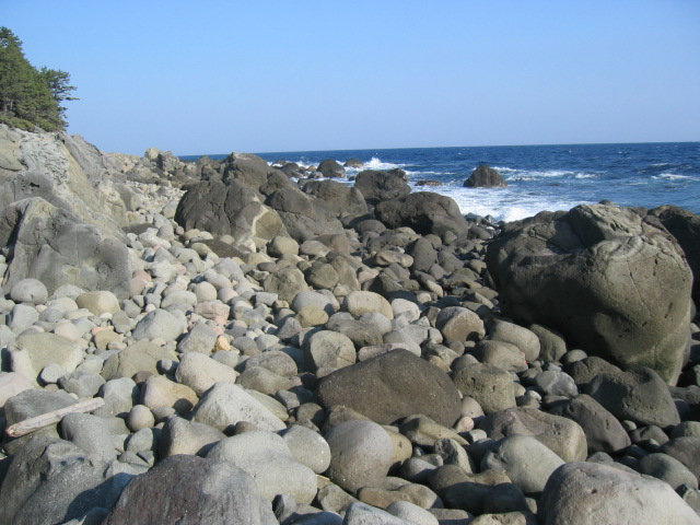 IMG_0804.JPG