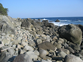 IMG_0804_thumb.png