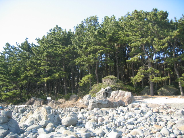 IMG_0809.JPG