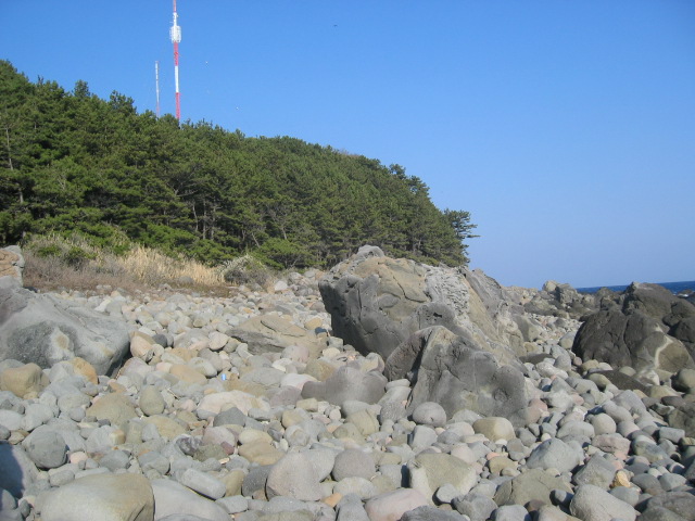 IMG_0810.JPG
