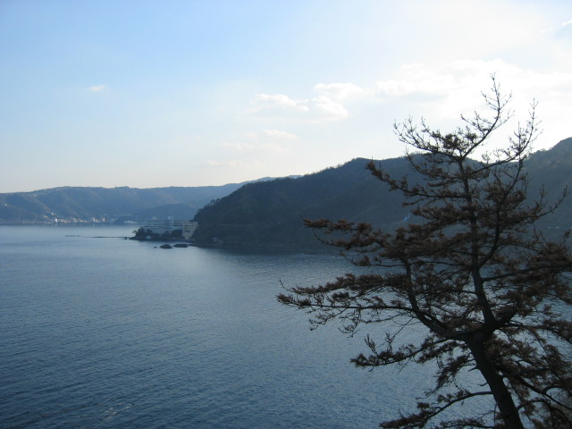 IMG_0682.JPG