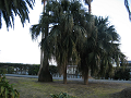 IMG_0693_thumb.png